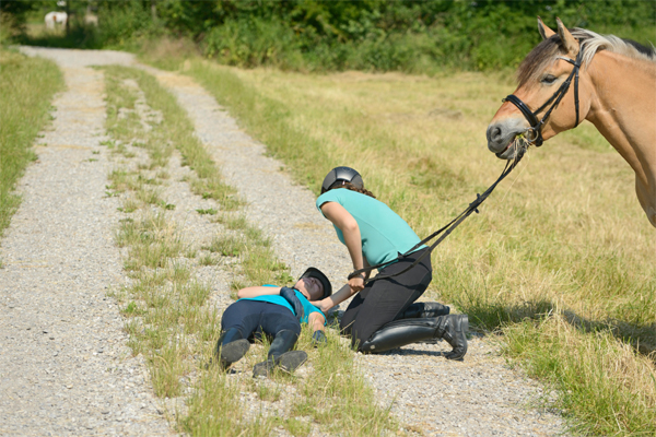 Foto von einer verunfallten bewußtlos am Boden liegenden Reiterin im Gelände und eine helfenden Person kniet direkt neben der verunglückten Person.